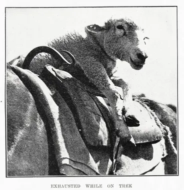 Image: Exhausted while on trek