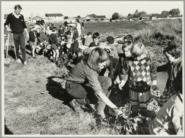 Arbor Day for Redwood Primary School at Murchison Park Image: Arbor Day for Redwood Primary School at Murchison Park