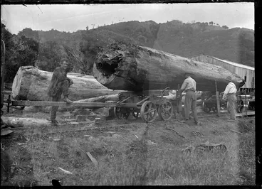 Image: Men unloading huge logs off a railway wagon, on the railway track outside Piha timber mill.