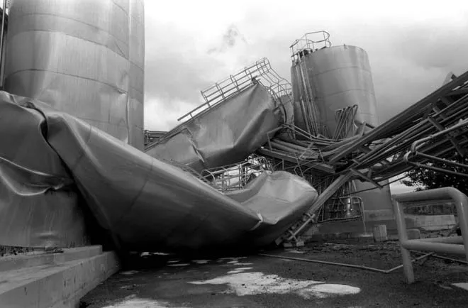 Edgecumbe dairy factory