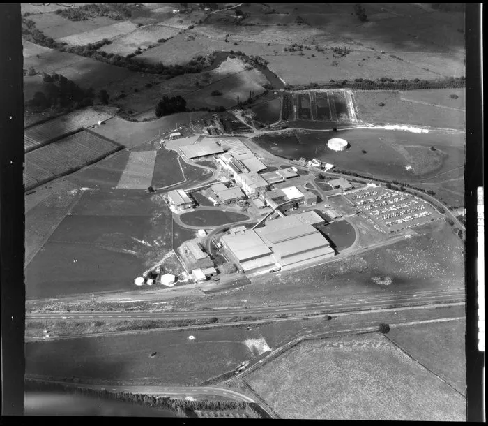 Te Puke Freezing Works, (Rangiuru AFFCO)