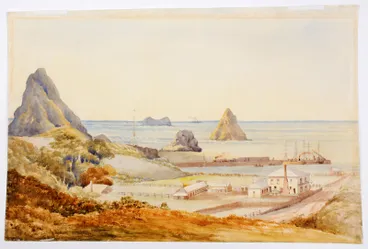 Image: Untitled [Moturoa]