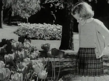 Image: Weekly Review No. 427