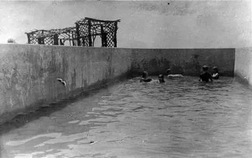 Image: The swimming pool at Homewood