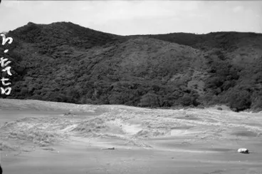Image: Site of engine on the beach at Karekare.