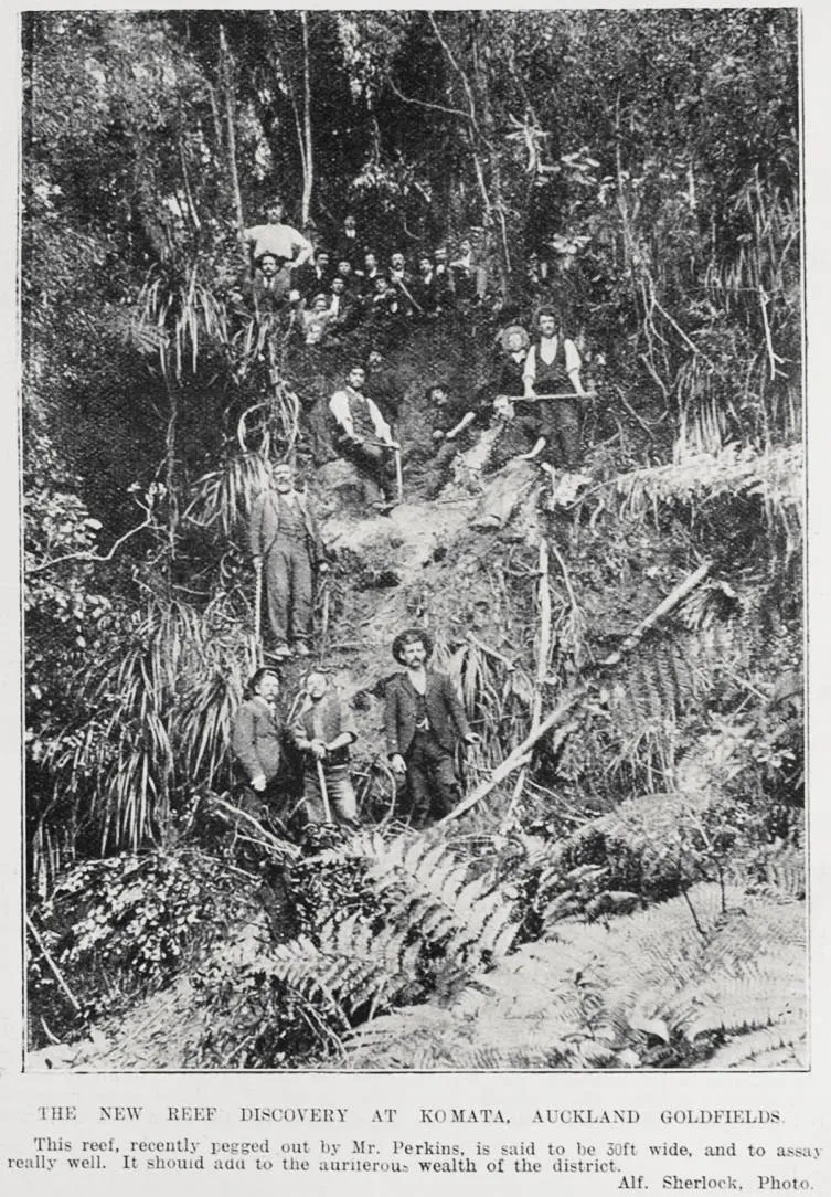 The new reef discovery at Komata, Auckland Goldfields