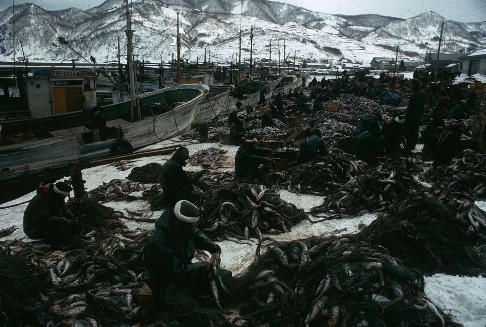 Japan series: Furubira port