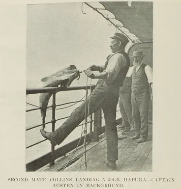 Image: The Northern S.S. Co's Excursion to Kawhia