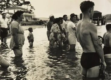 Image: Dolphin Daze, Opononi