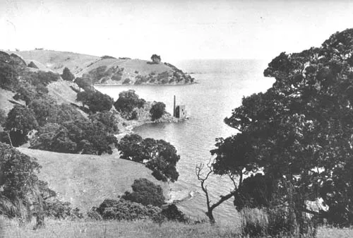 Kawau Island