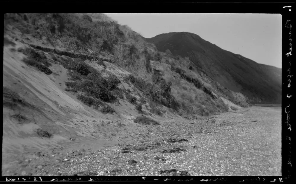 Bassit cages and Otaki sand high above storm beach - Paekakariki Beach