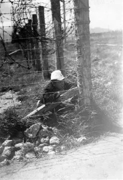 "Dreaming of home?" : digital image