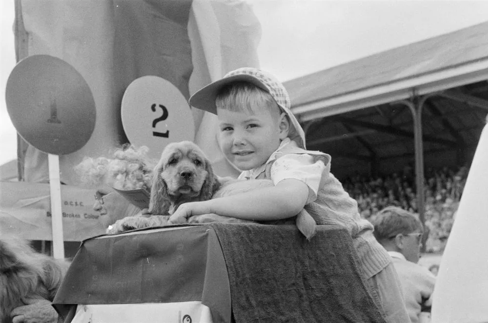 (Boy with cocker spaniel puppy)