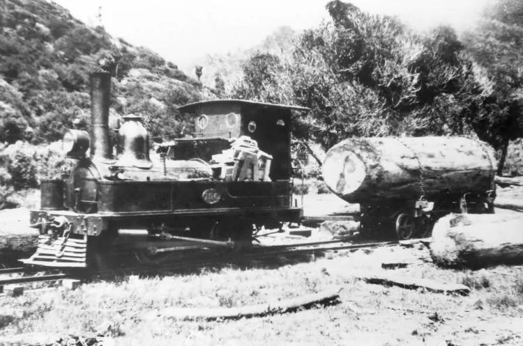 Engine and log near mill.