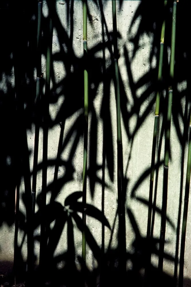 Japan Series: Bamboo Patterns