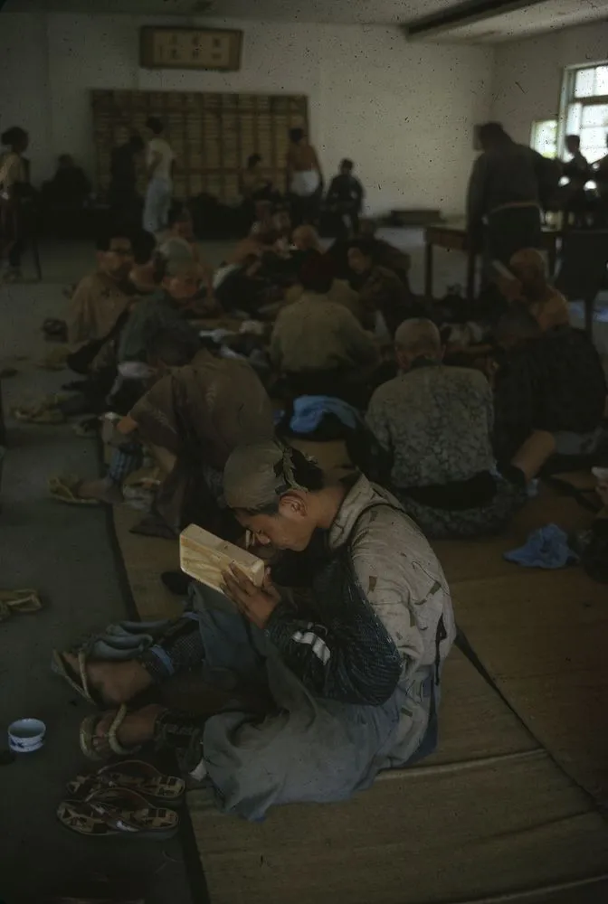 Japan Series: Movie Industries