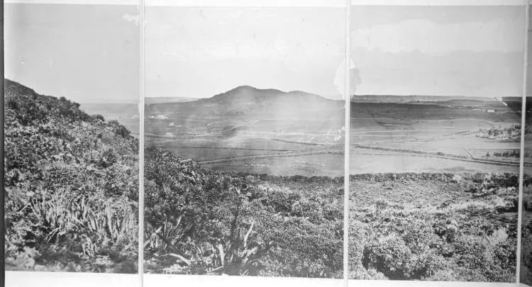 One Tree Hill from Mount Hobson, 1863