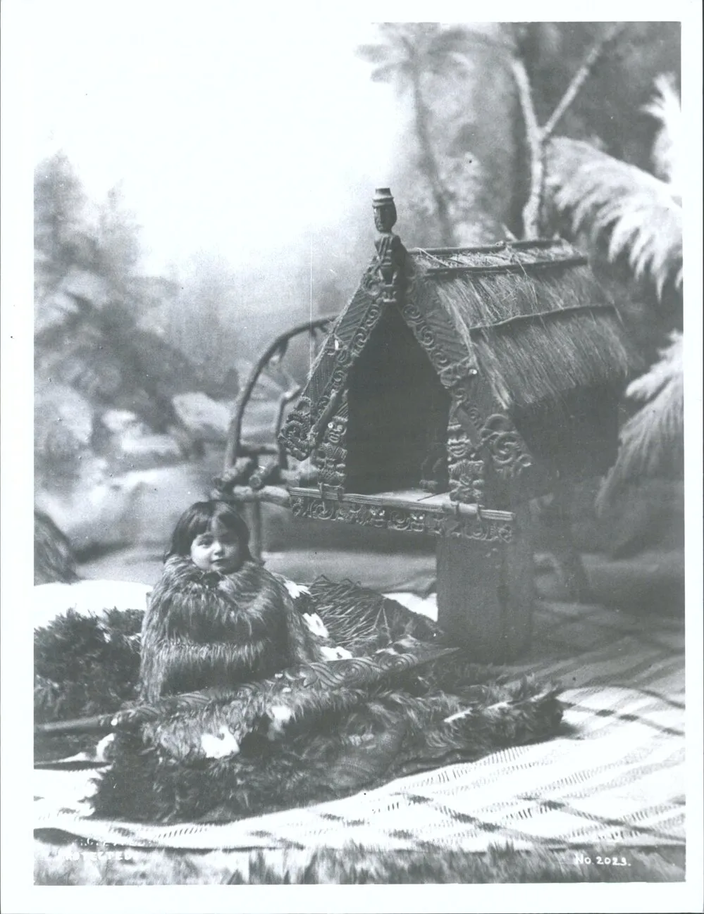 Maori Portraits: Unidentified Child