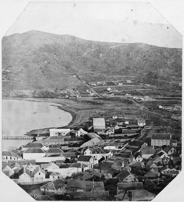 Image: Overlooking Te Aro, Wellington