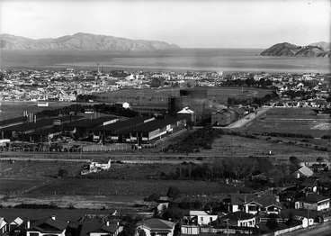 Image: Looking south over Petone