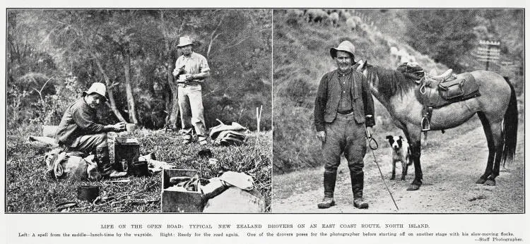Life on the open road: typical New Zealand drovers on an East Coast route, North Island