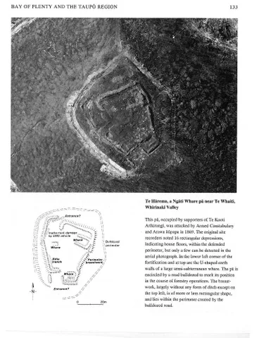 Te Hārema, a Ngāti Whare pā near Te Whaiti, Whirinaki Valley Image: Te Hārema, a Ngāti Whare pā near Te Whaiti, Whirinaki Valley