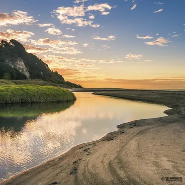 Pikowai Image: Pikowai