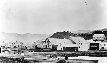 Image: Lambton Quay, Wellington, from Clay Point