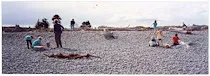 Photo prints, Longbeach scout/brownies groups, 2000 - 2001