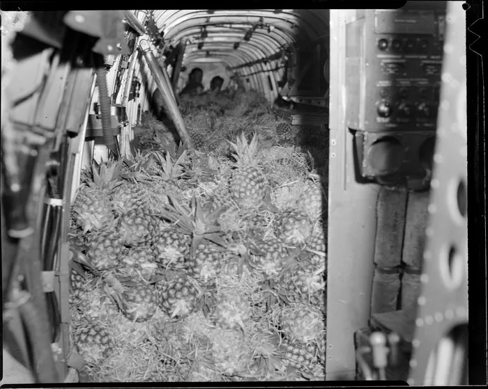 Showing the large fuselage full of pineapples
