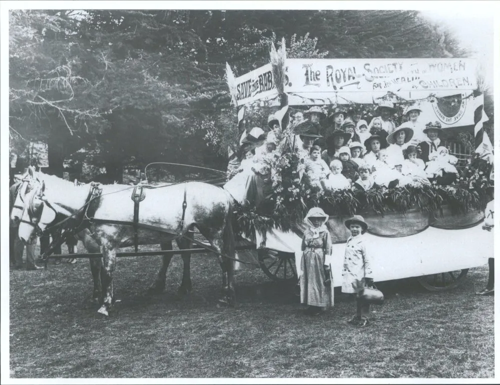 The Royal Society for the Health of Women & Children, Dunedin