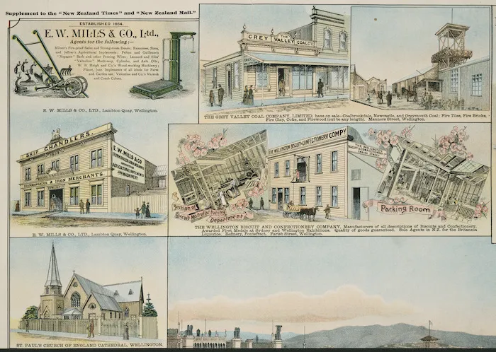 F W Niven & Co. :E W Mills & Company Ltd; Grey Valley Coal Company Ltd; Wellington Biscuit and Confectionery Company; and St Paul's Church of England Cathedral Wellington [ca 1895]