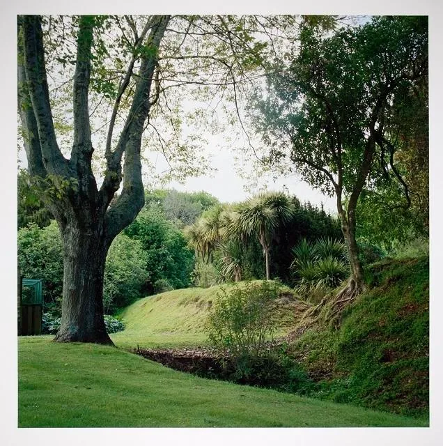 River / Road An Ecological Journey,