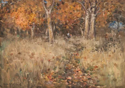 In Hagley Park, Christchurch