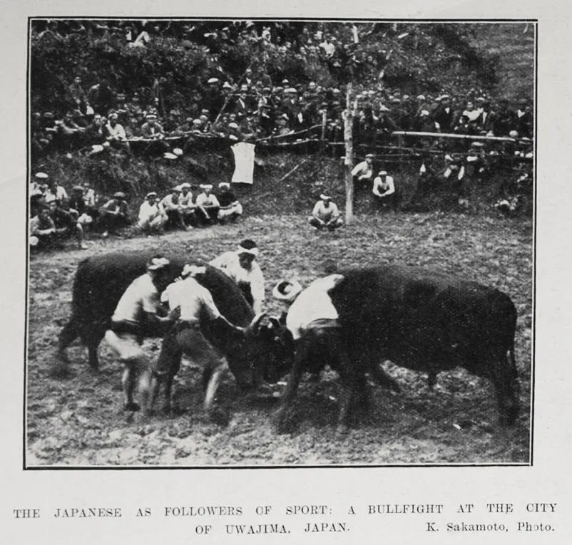 The Japanese as followers of sport