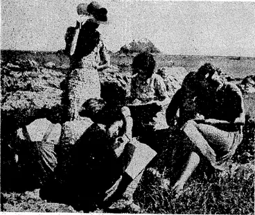 Image: Pupils of a standard IV Nature study class from Newtown School at work on the peach at Island Bay. They collect sea shells and after studying them are required to reproduce them in a drawing. (Evening Post, 28 February 1945)