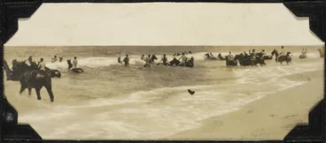 Image: Troops of the ANZAC Mounted Division and their horses, swimming.