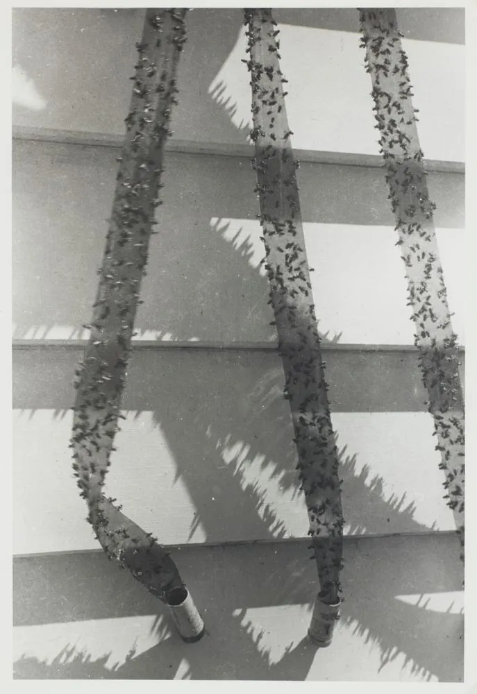 Schatten des Todes / Shadows of death