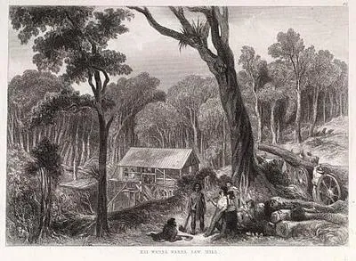 Kai Warra Warra Sawmill