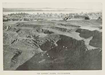 Image: The eastern crater, Maungakiekie