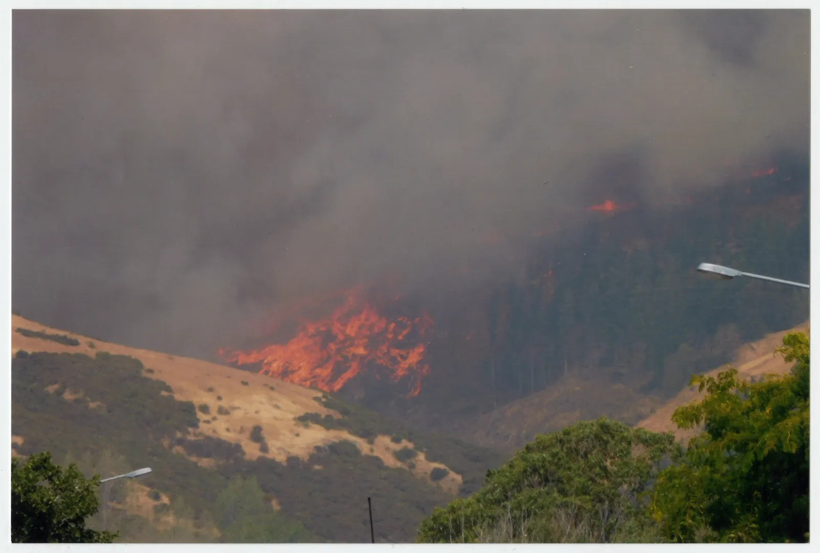 Port Hills Fires, February 2017