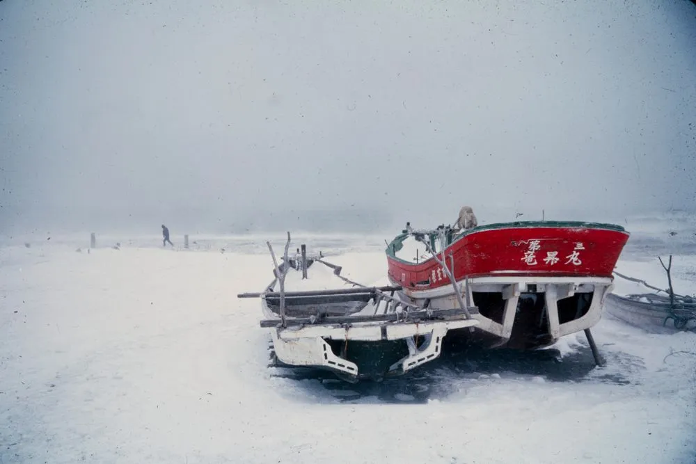 Japan Series: Numero