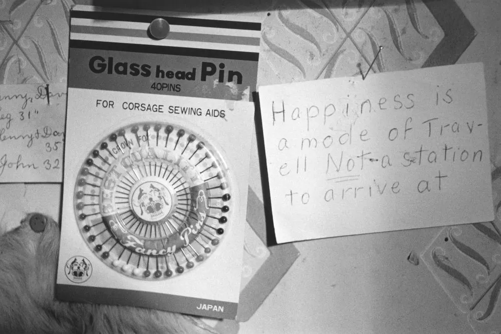 Hidden Lives: the work of care. 'Happiness is a mode of travel...'