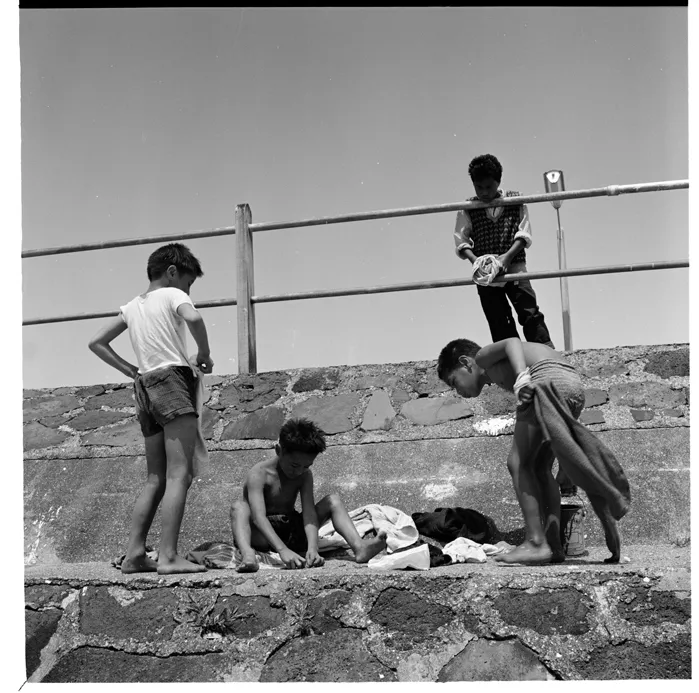 Tamaki Drive, Auckland; birthday party Robert and Yvonne Westra; gun at Auckland Museum