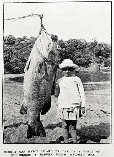 Image: Caught off Mayor Island by one of a party of picnickers: Hapuka which weighed 143lb