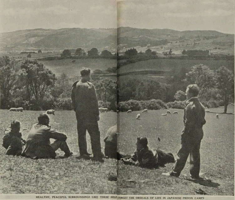 British servicemen regain health and strength at Raventhorpe convalescent depot