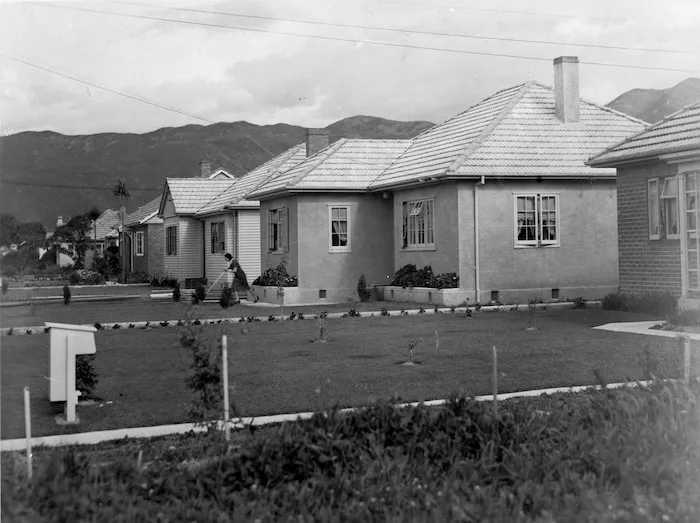State houses, Mahoe Street, Waterloo, Lower Hutt