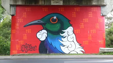 Image: "Tui"