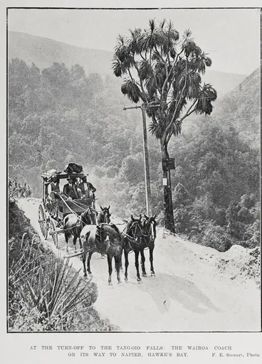 At the turn-off to the Tangoio falls Image: At the turn-off to the Tangoio falls