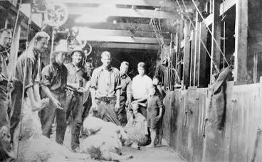 Image: Interior of shearing shed